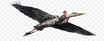 Cygnini Goose Beak Duck Cormorant - goose 
