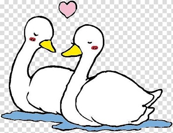 Cygnini Mandarin duck Cartoon, White Swan transparent background PNG clipart