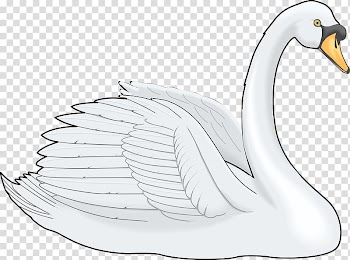 Cygnini Painting , White Swan transparent background PNG clipart