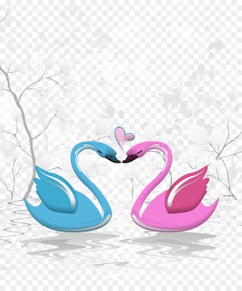 Cygnini Paper - swan 