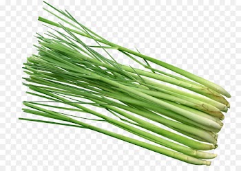 Cymbopogon citratus Asian cuisine Lemon Stock photography Herb - garlic 