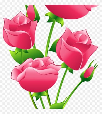 Cynthia Brown - Pink Roses Clipart Transparent