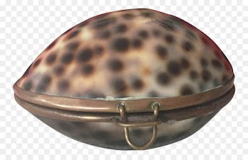 Cypraea tigris Cowry Seashell Mollusc shell Metal - cowrie frame 