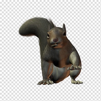 D Squirrels, brown squirrel animated illustration transparent background PNG clipart