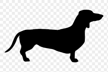 Dachshund dog png sticker animal | Free PNG - rawpixel