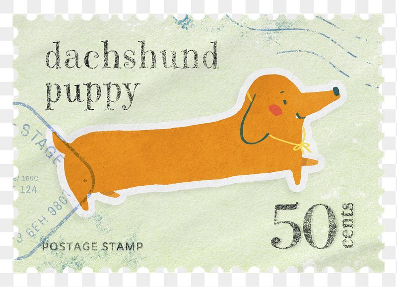 Dachshund png post stamp sticker, | Free PNG - rawpixel