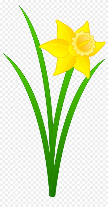 Daffodil Flower Clip Art - Daffodil Flower Clip Art