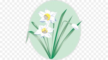 Daffodil Vector graphics Flower Clip art Image - flower 