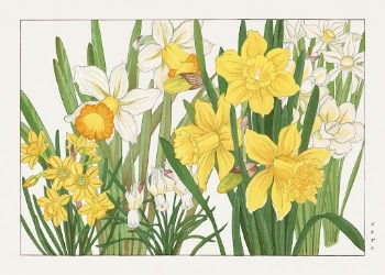 Daffodil woodblock painting by Tanigami | Free Photo Illustration - rawpixel