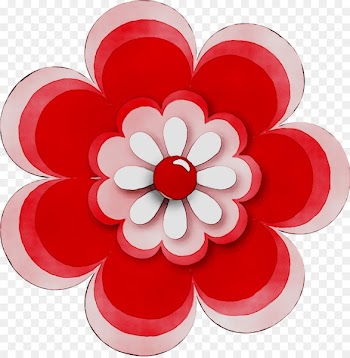 Dahlia Cut flowers RED.M -  