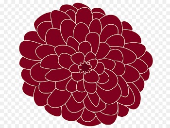Dahlia Floral design Cut flowers Chrysanthemum - zinnias bubble 