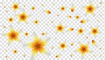 Dahlia Floral design Pattern, Hawaii egg flower transparent background PNG clipart
