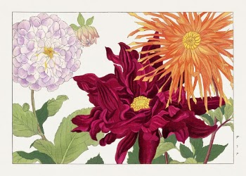 Dahlia flower woodblock painting by Tanigami | Free Photo Illustration - rawpixel
