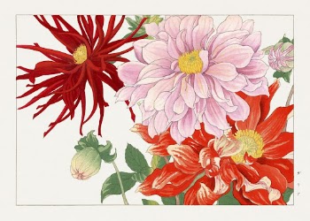 Dahlia flower woodblock painting by Tanigami | Free Photo Illustration - rawpixel