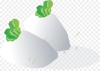 Daikon Rutabaga Turnip Clip art Vegetable - vegetable 