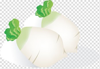 Daikon Vegetable Computer file, corn,vegetables,Green transparent background PNG clipart