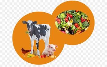 Dairy cattle Clip art Image Illustration Agriculture - agribusiness bubble 
