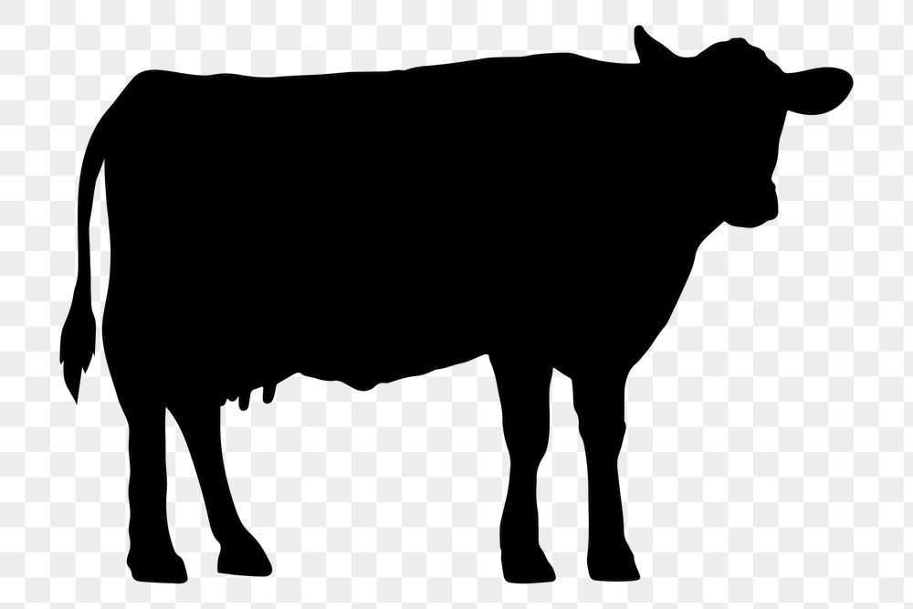 Dairy cow png silhouette, cattle | Free PNG - rawpixel
