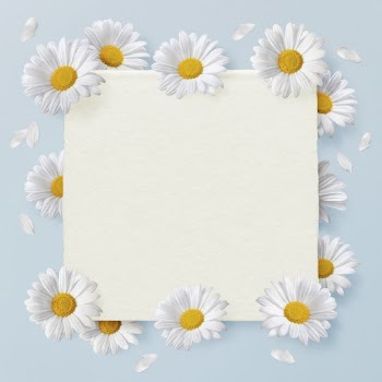 Daises flowers frame background, floral | Free Photo - rawpixel