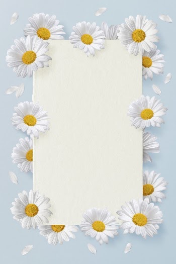 Daises flowers frame background, floral | Free Photo - rawpixel