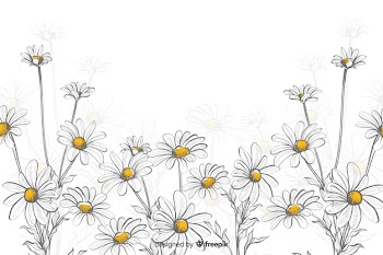 Daisies decorative background watercolor style Free Vector