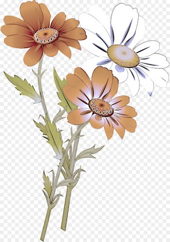 Daisy