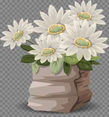Daisy Bouquet PNG High-Quality Image