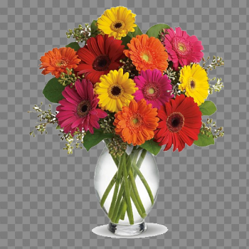 Daisy Bouquet PNG Picture