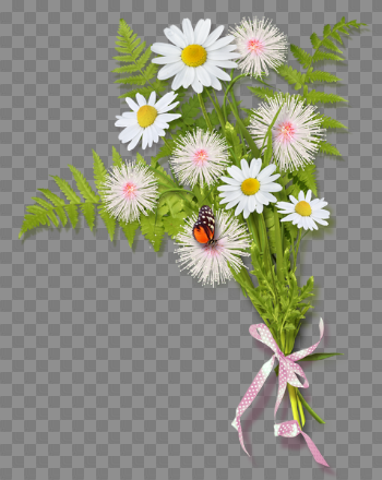 Daisy Bouquet Transparent Image