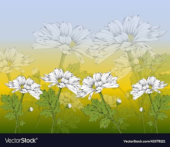 daisy floral painting handdrawn classical blurred
