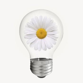 Daisy flower light bulb, Spring | Free PSD - rawpixel