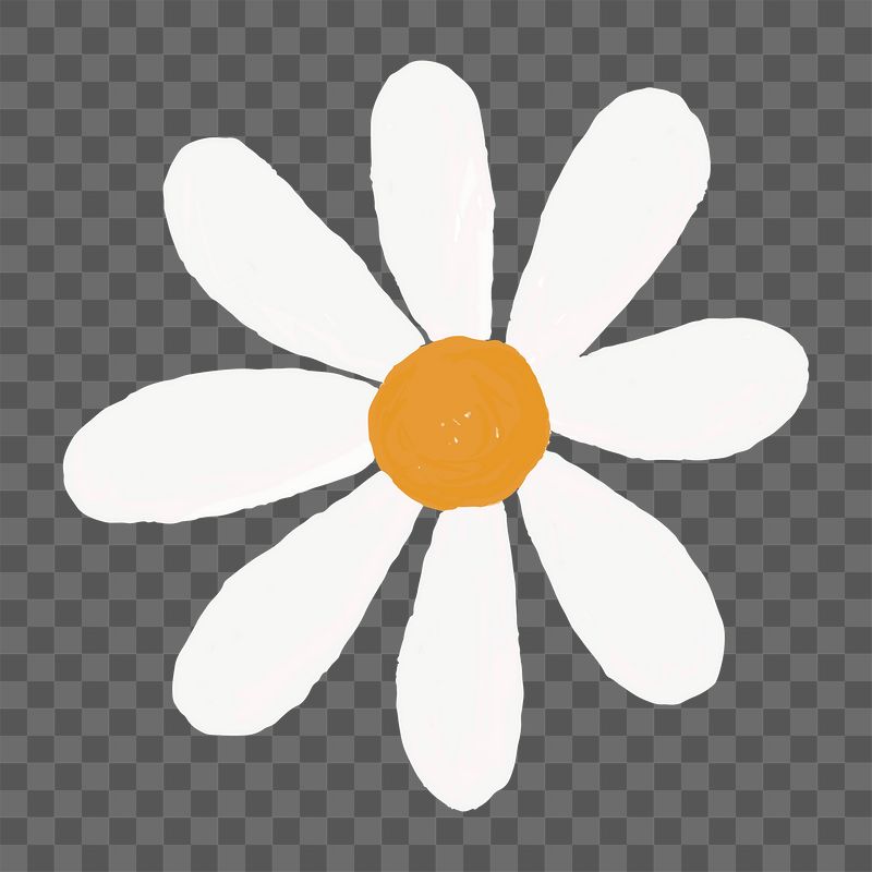 Daisy flower png doodle sticker, | Free PNG - rawpixel