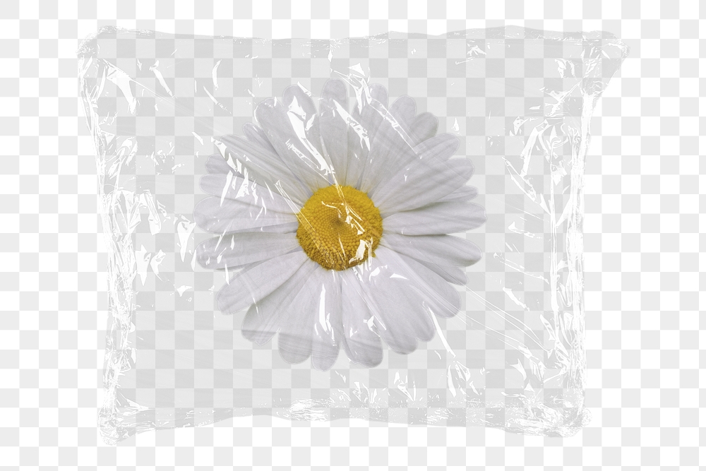 Daisy flower png plastic packaging | Free PNG - rawpixel