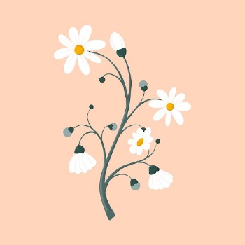 Daisy flower sticker, aesthetic feminine | Free PSD - rawpixel