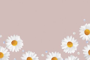 Daisy flowers border background, botanical | Free PSD - rawpixel
