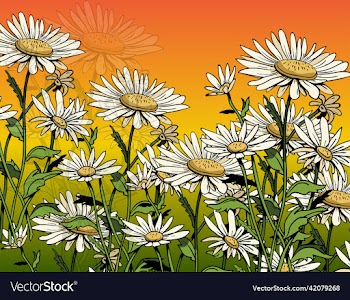 daisy pattern template classical handdrawn design