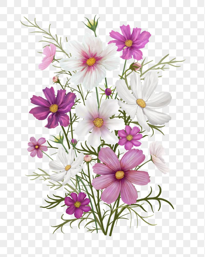 Daisy png flower sticker illustration, | Free PNG - rawpixel