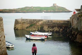          Dalkey Island Free Photo     