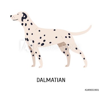Dalmatian