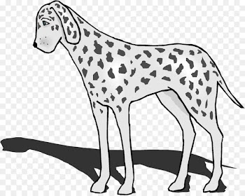 Dalmatian dog Clip art Dog breed Vector graphics Portable Network Graphics - artsy banner 