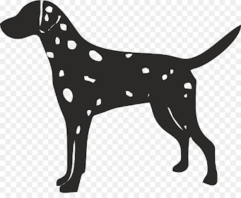 Dalmatian dog English Foxhound American Foxhound Harrier Silhouette - silhouette 