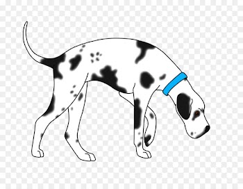 Dalmatian dog Italian Greyhound Puppy Dog breed - puppy 