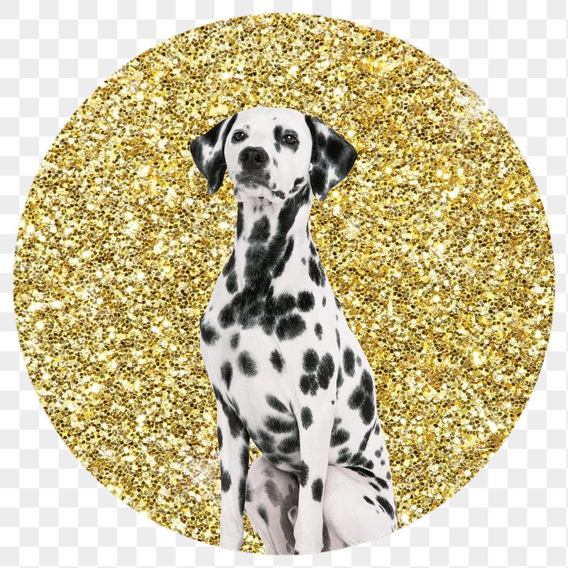 Dalmatian dog png badge sticker, | Free PNG - rawpixel