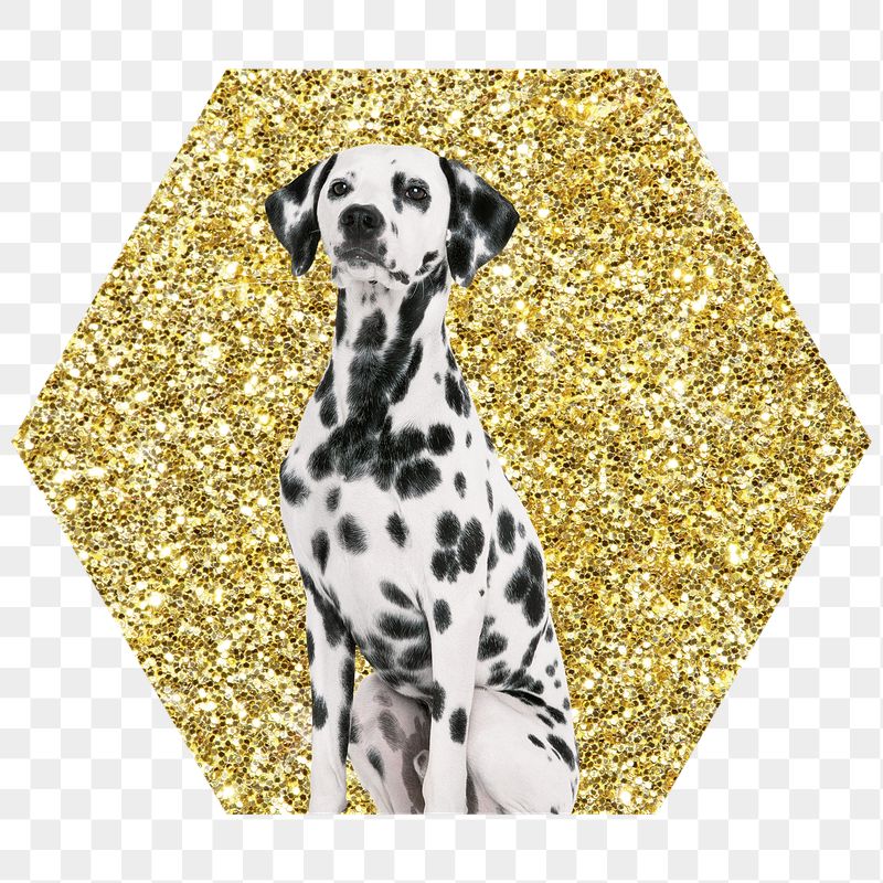 Dalmatian dog png badge sticker, | Free PNG - rawpixel