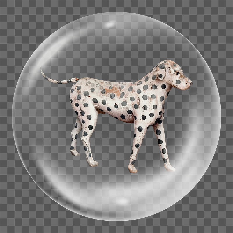 Dalmatian dog png sticker, bubble | Free PNG - rawpixel