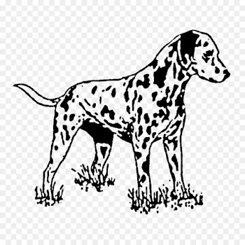 Dalmatian dog Rubber stamp Postage Stamps Plastic - rubber stamp 