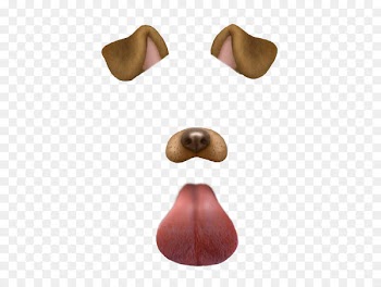 Dalmatian dog Snapchat Photographic filter Clip art - Snapchat Filters PNG Transparent Images 