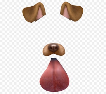 Dalmatian dog Snapchat Puppy Sticker We Heart It - snapchat 