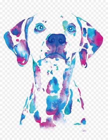 Dalmatian dog Watercolor painting Portrait - Vector watercolor dotted dog 