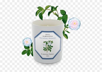 Damask Rose - Carriere Freres - Damask Rose (rosa Damascena) Candle